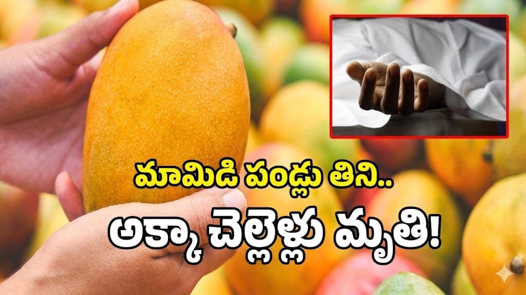 హైదరాబాద్ నారాయణగూడ — మామిడి పండ్లు తిని ఇద్దరు అక్కాచెల్లెళ్ళ మృతి; Food Poisoning అనుమానం